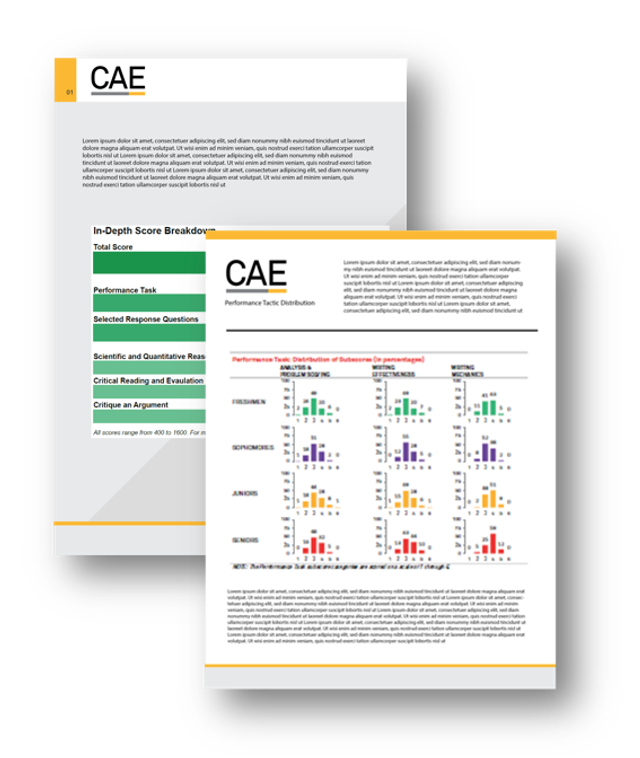 CAE-Analysis