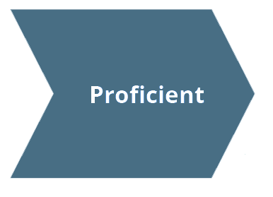 Student Report Review Page - Council for Aid to Education