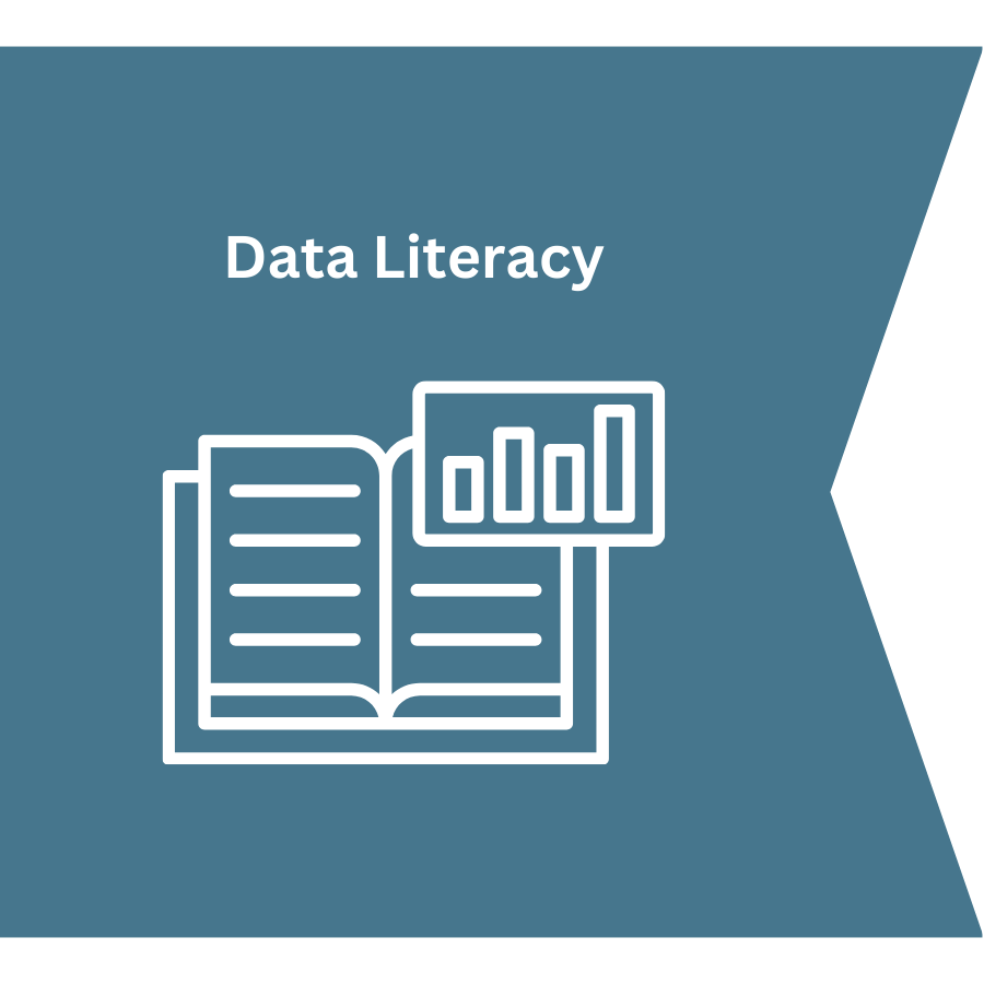 Data Literacy Icon