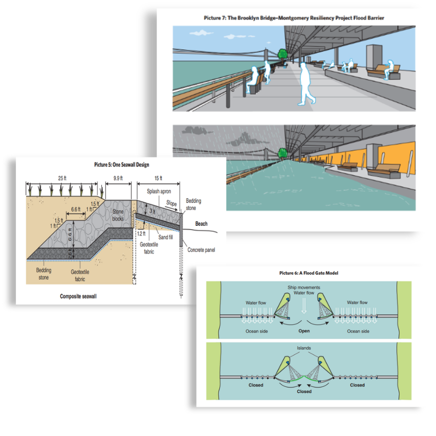 NYC Sample Performance Task Image